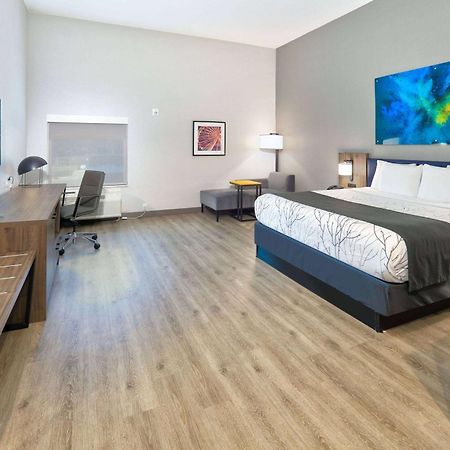 La Quinta Inn & Suites By Wyndham Dallas/Fairpark Екстер'єр фото